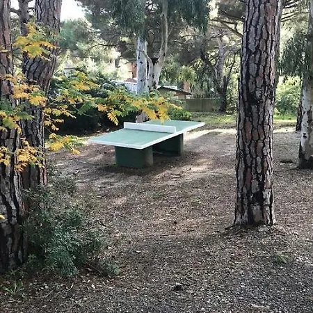 T2, Les Coteaux De La Nartelle Sainte-Maxime